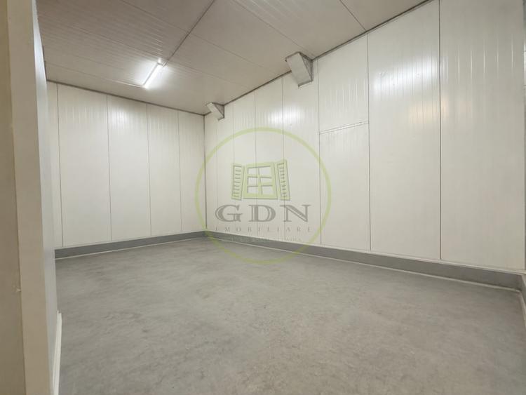 Hala Productie, 1522 mp, Cartier Rovine, zona Lidl