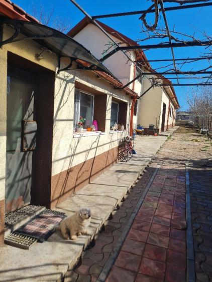 Vand două case pe un teren de 1500 m², în Lumina  - 5