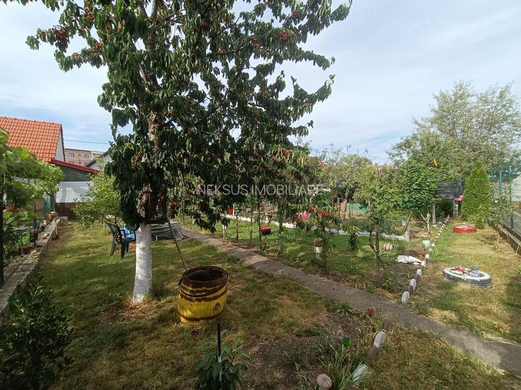 Casă de vanzare cu 4 camere 107 mpu pivnita anexe curte gradina Sebes - 16