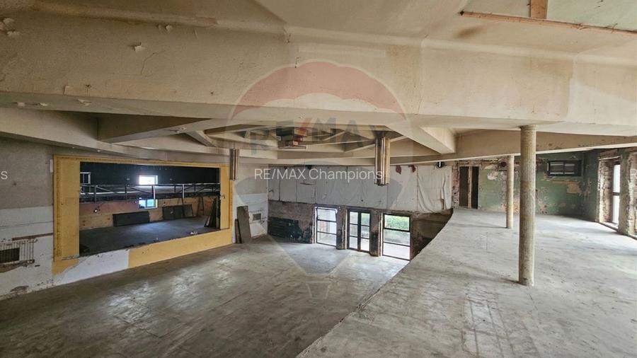 Cinematograful Arta Brașov | Cladire emblematica | S+P+E+Pod | 1310 mp - 16