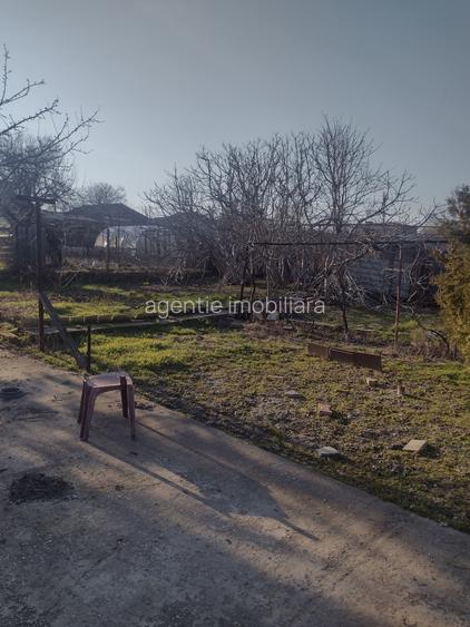 Ovidiu -Cada pe partea cu lacul Siutghiol - 3