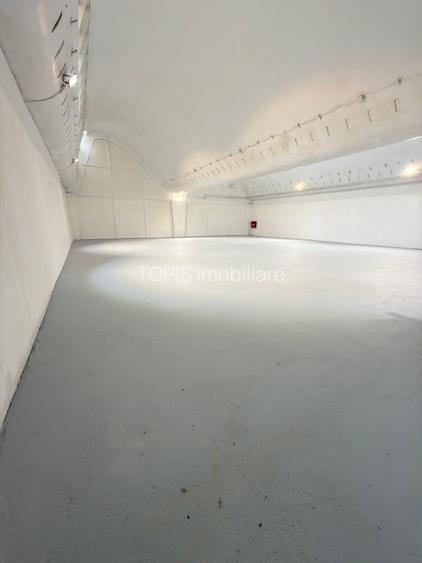 Pantelimon / Republica - Spațiu Industrial / Producție / Depozitare - 25