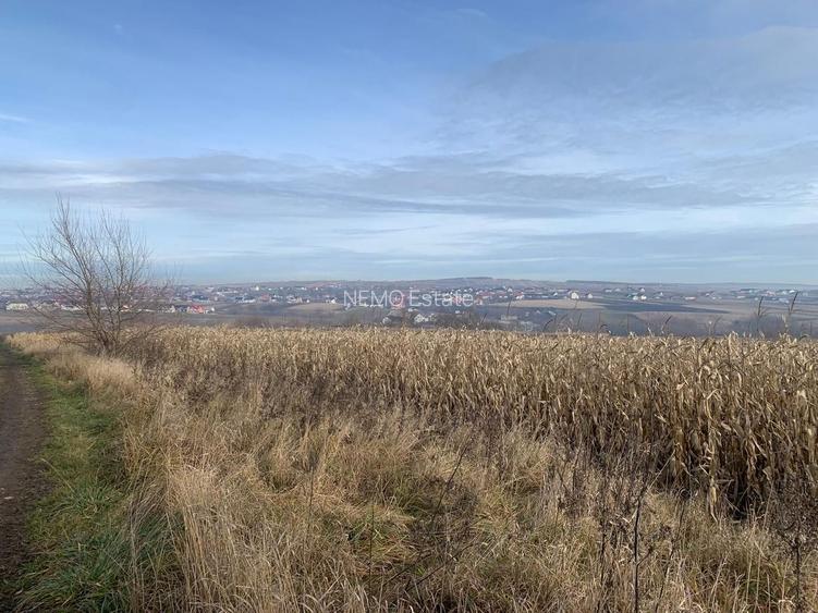 Teren intravilan de vânzare | Cajvana | 7.800 mp - 3