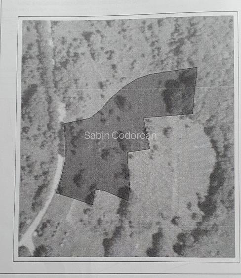 De vanzare Teren intravilan si extravilan  - 3