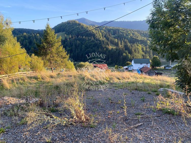 Teren Intravilan 1000mp-panorama-oportunitate investitie-Colibita - 2