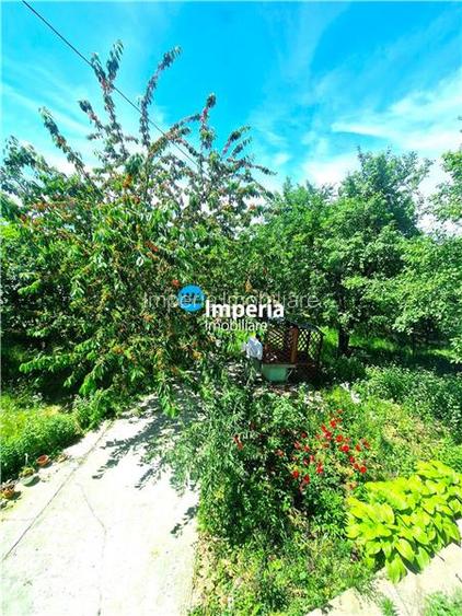 Proprietar Casa D+P+M, 3 cam, 800 teren, Curaturi / Lunca Cetatuii - 13