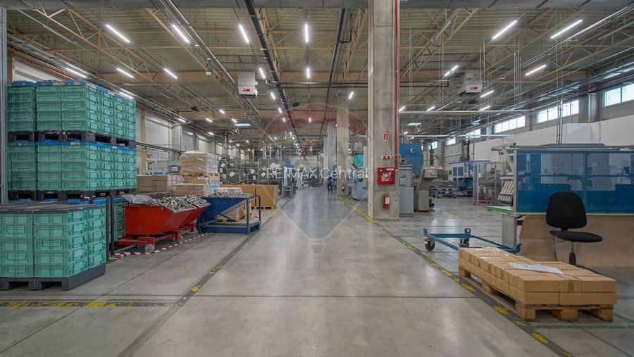 Hală industrială 5.000–12.000 mp de închiriat, Ghimbav - 17