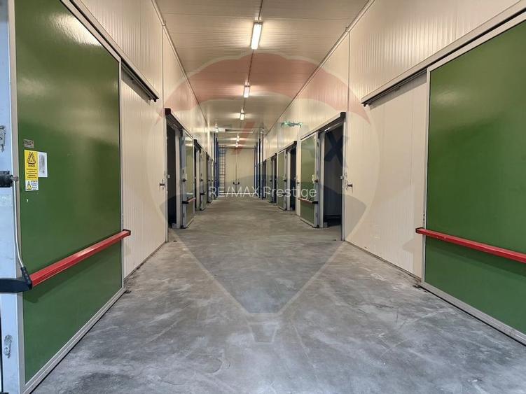 Ferma agro-industrială – 43 ha Adunații Copaceni - 3