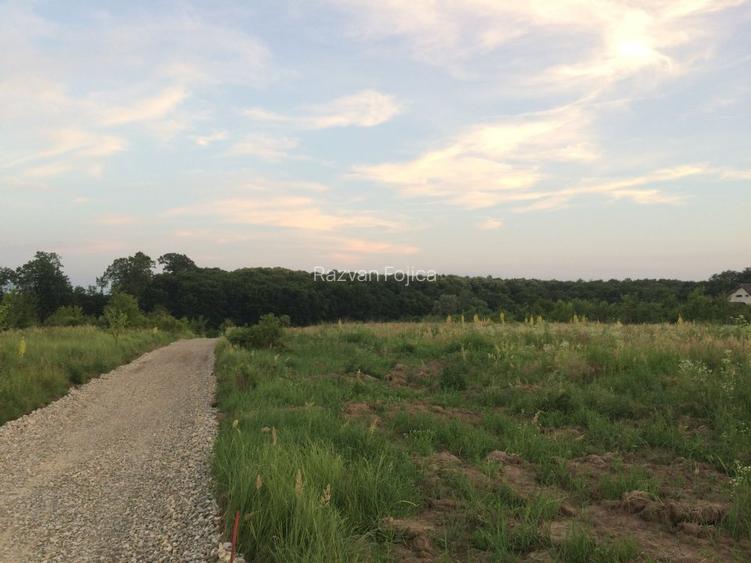 Teren intravilan Silistea Snagovului 500 mp - 3