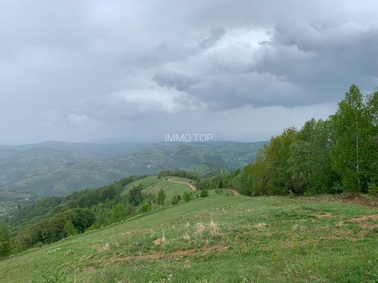 Teren extravilan 2ha, priveliste panoramica spre munti /Poiana Marului - 8