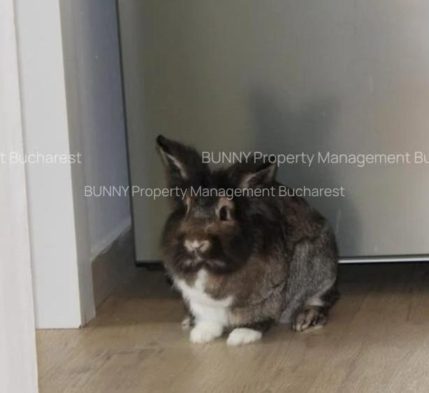 For Sale – Code C20-01 – Old Town - Gabroveni 14 - 6