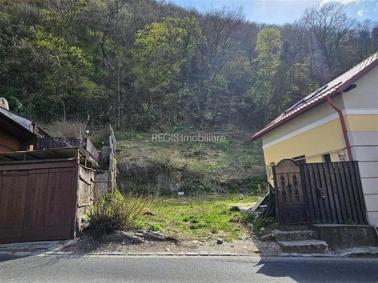 Teren Intravilan Dobrogeanu Gherea - 3