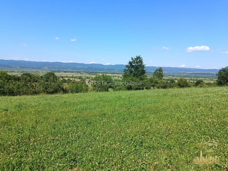 Teren extravilan 9093 mp de vanzare in Josani, com. Magesti - Bihor - 6