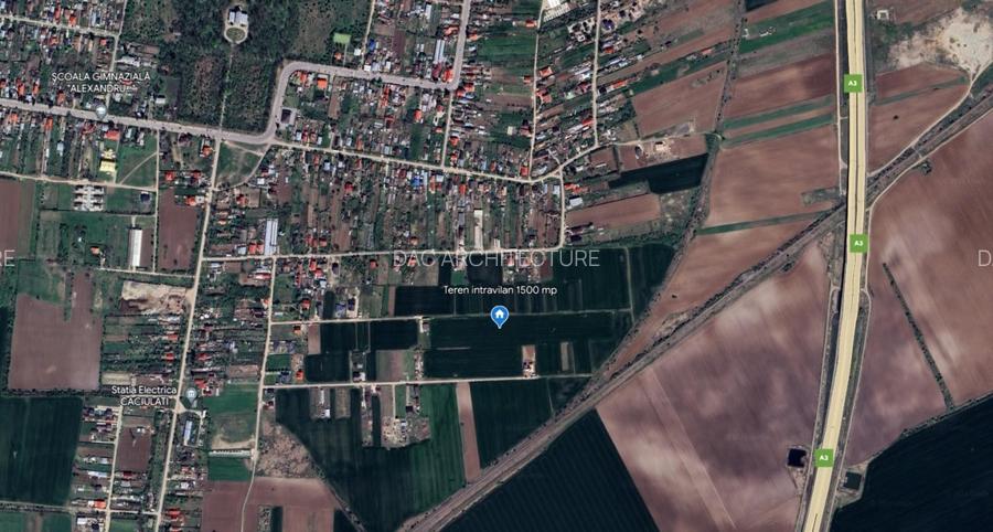 TEREN MOARA VLASIEI - CACIULATI 1500 mp - 5