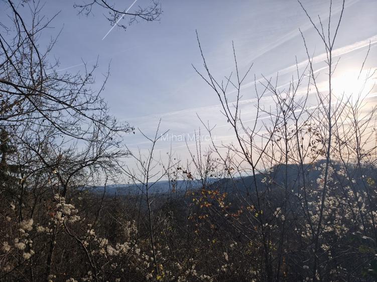 Teren intravilan Breaza 4,000mp utilitati. Panorama superba. Parcelabil - 8