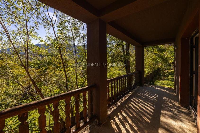 FILM! Proprietate notabila,ocazie personalizare, aprecat areal: Bran, Brasov - 19