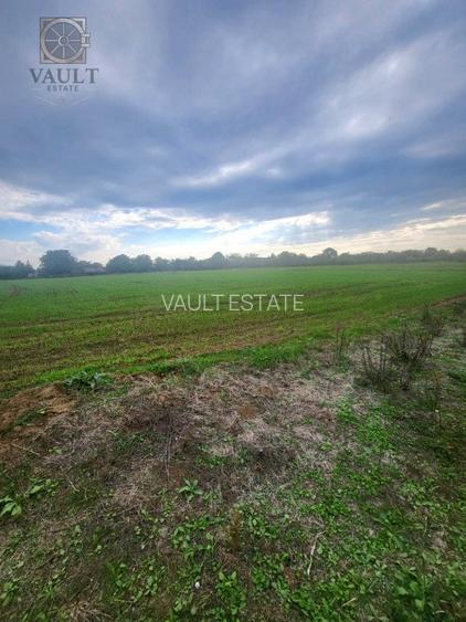 Teren Lucianca - Butimanu - deschidere la DN - 3