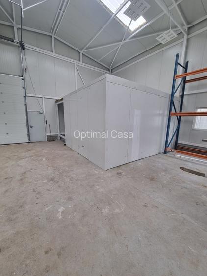 Magurele,hala 200 mp ( 10x20), inaltime h=6 m, 600 mp teren, - 7