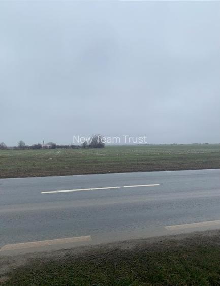 Vanzare Teren Otopeni 23 August-  Tunari - Dimieni - Tamasi - 6