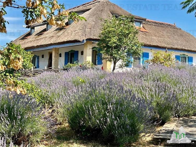 Resort Delta Dunarii | 21 camere | 18 unitati cazare | aproape de Marea Neagra - 14