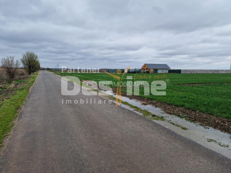 TEREN DE VANZARE DRAGOMIRESTI VALE - 2