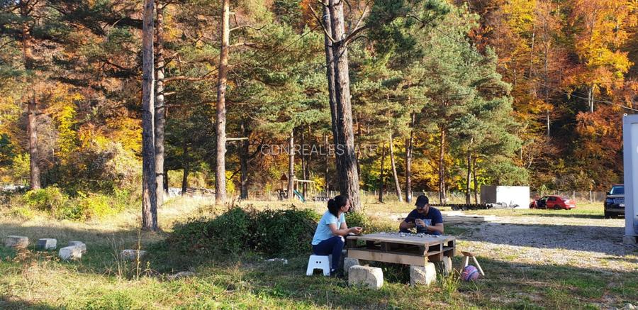 De vanzare CAMPING DARSTE - 16