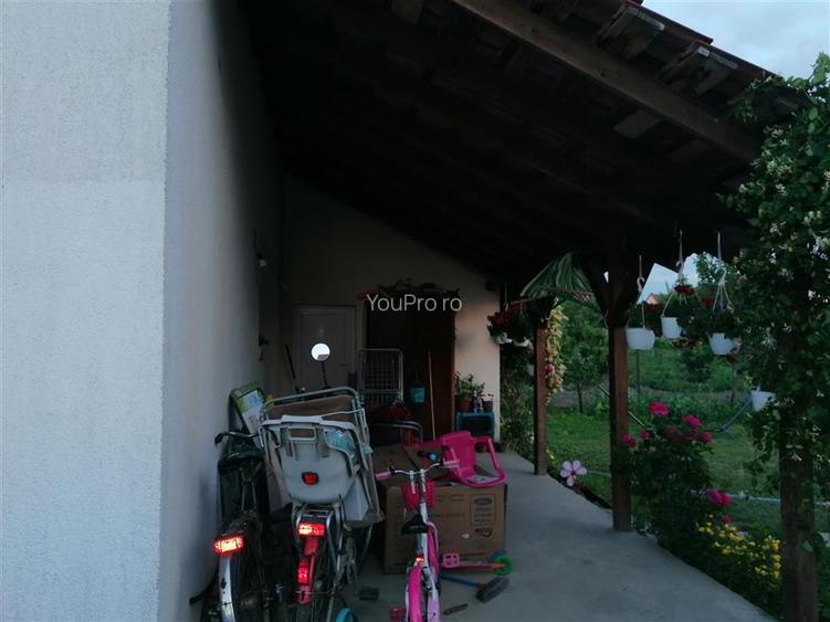 Vila Individuala Sinmihaiul Roman - 13