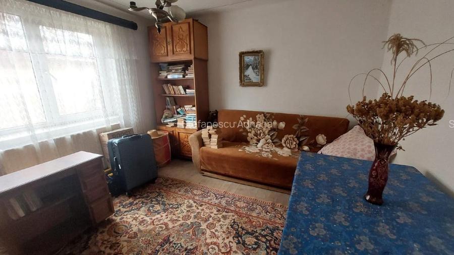 Proprietate cu 2 locuințe + spațiu comercial, 1175 mp teren – Islaz - 13