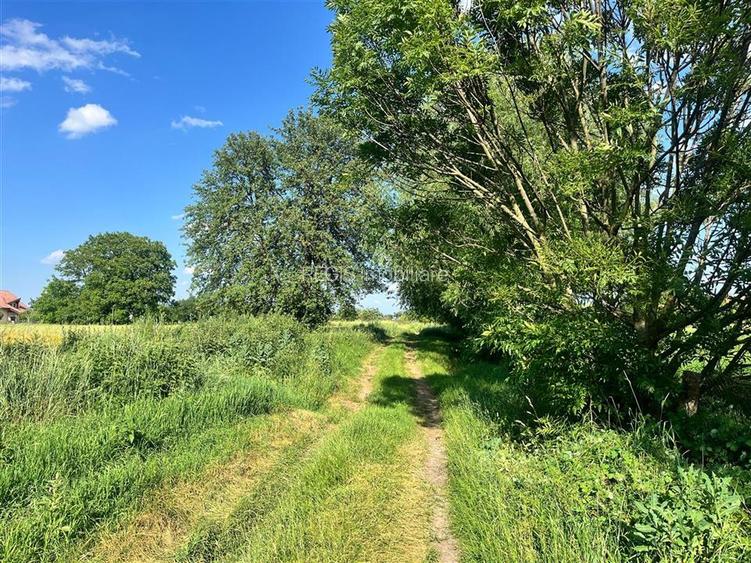 TEREN INTRAVILAN, 1200 mp, HARMAN, COMISION 0% - 2