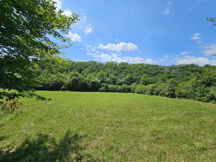 Teren superb de Vanzare in Darmanesti, Bacau - 5