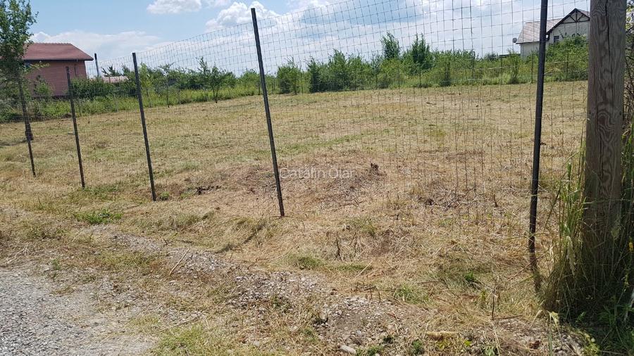 Teren intravilan de vânzare, Mogoșoaia Str. Garoafelor, 1.365 mp, Deschidere 39m - 3