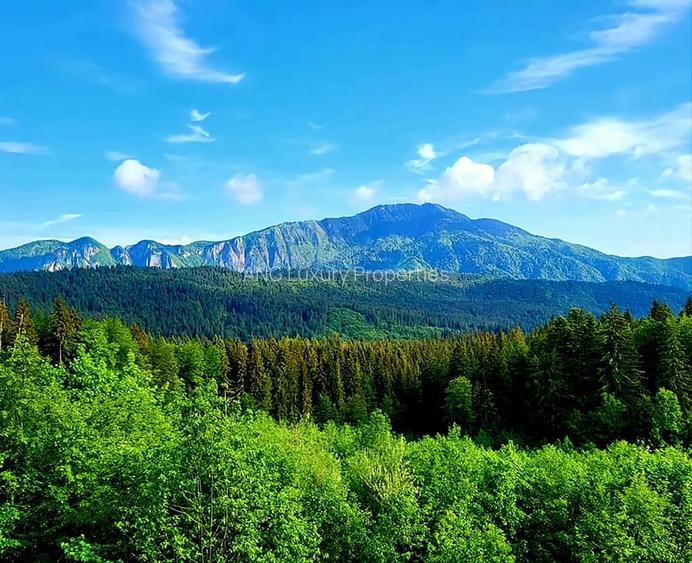 Aparthotel cu view superb Valea Prahovei - 2