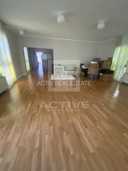 Vila cu curte generoasa -str E. Racovita - 3