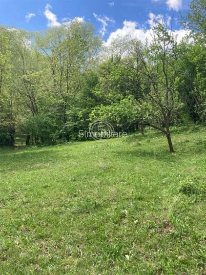 Izvoarele Valea Borului- Teren Intravilan de Vanzare- Comision 0% - 6