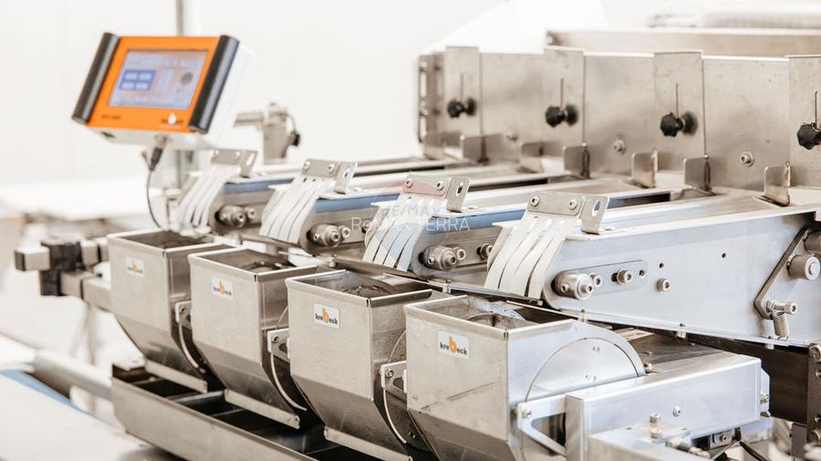 BUSINESS DE VANZARE Plantatie de afin din Romania - 6