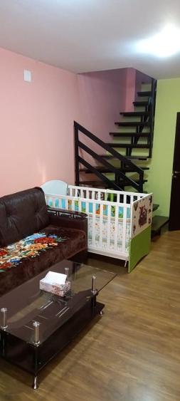 PF VAND AP. 2 CAM IASI-NICOLINA - 2