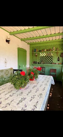 Casa traditionala de vânzare sat pasarea ,Ilfov  - 11