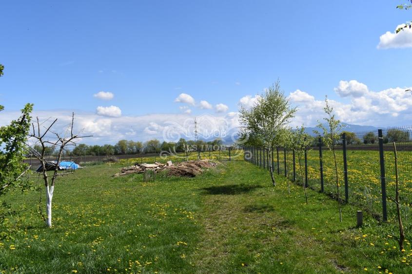 TEREN INTRAVILAN CU CONSTRUCTII AGROTURISTICE SI CABANA CODLEA - 3