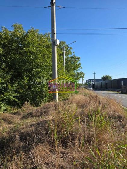 Otopeni /strada Alexandr Ioan Cuza - 2