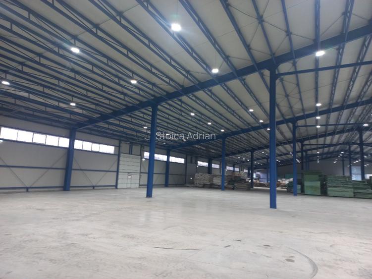 Hala productie sau depozitare 10000 mp - 6