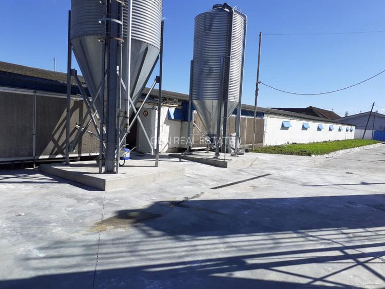 Ofertă de vânzare hală 1933 mp,  teren 4620 mp., 380000 Eur - 5