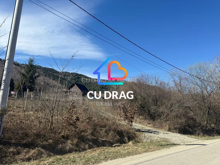 Teren intrevilan Sibiel cu toate utilitatile - 2