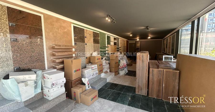 Depozit + Showroom, zonă premium Tomis Plus – Bulevardul Tomis - 8