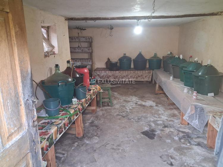 Casa traditionala cu teren generos – Borosteni, Pestisani, jud. Gorj - 11