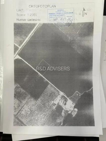 Oportunitate Teren Case Individuale sau Duplexuri Padurea Cernica 300m - 3