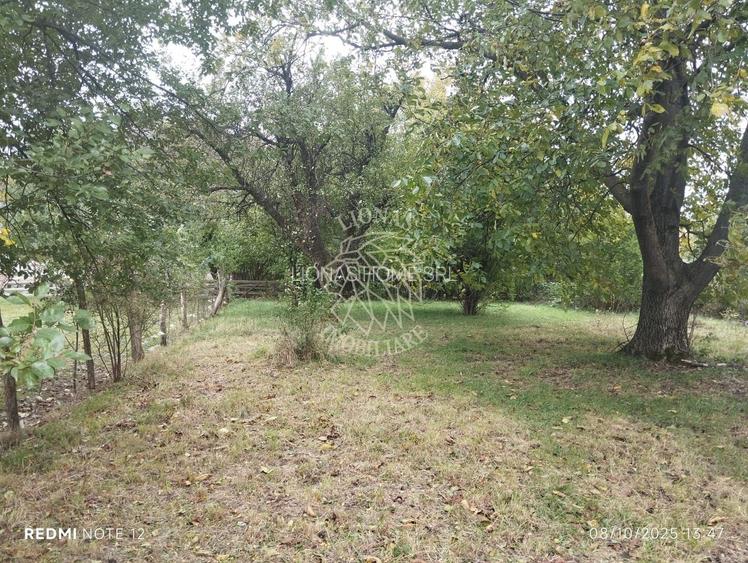 Teren intravilan 2500 mp-utilitati-ideal casa-Mijlocenii Bargaului - 3