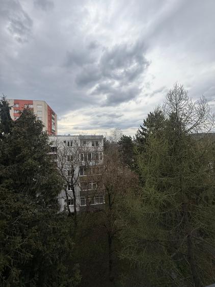 Apartament de închiriat, 3 camere, 82 mp, Mănăștur zona USAMV/Platinia