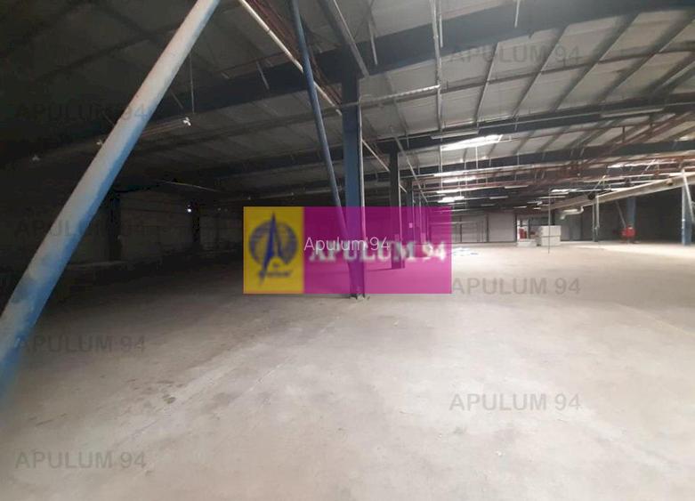 Spatiu Logistic langa Bucuresti Hala 5000 mp - 44