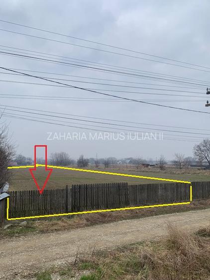 Teren de vanzare 7.123 mp intravilan, Buhusi - 12