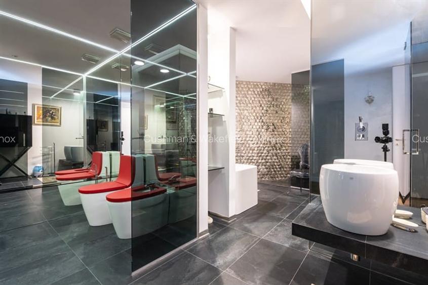 Apartament spectaculos de 7 camere in Herastrau - 4